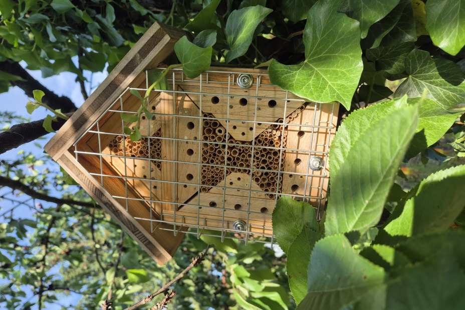 3 Floristen Insektenhotel, Bild © Berufliche Schule 5