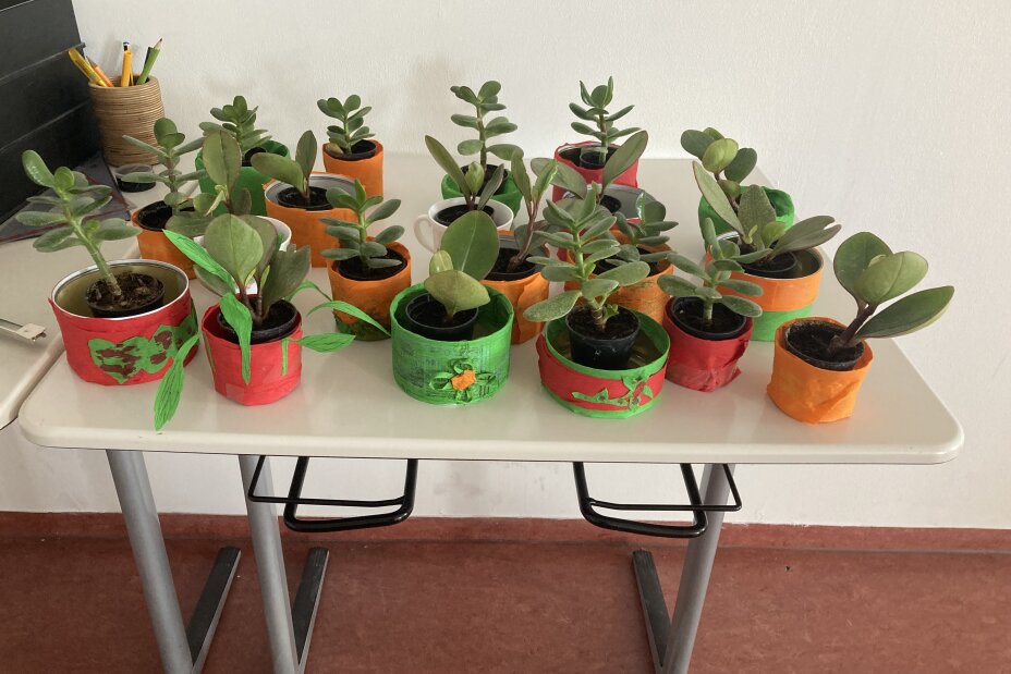 Sukkulenten1 2026, Bild © Berufliche Schule 5