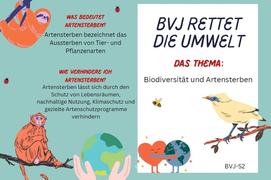 5 Flyer Artensterben, Bild © Berufliche Schule 5