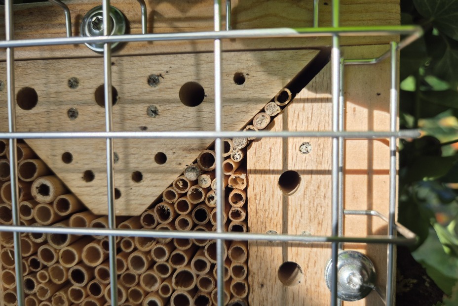 4 Floristen Insektenhotel, Bild © Berufliche Schule 5