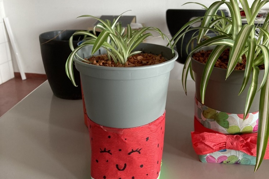 Bild © Berufliche Schule 5 5 Umweltschulenprojekt BIK 24/25, Bild © Berufliche Schule 5