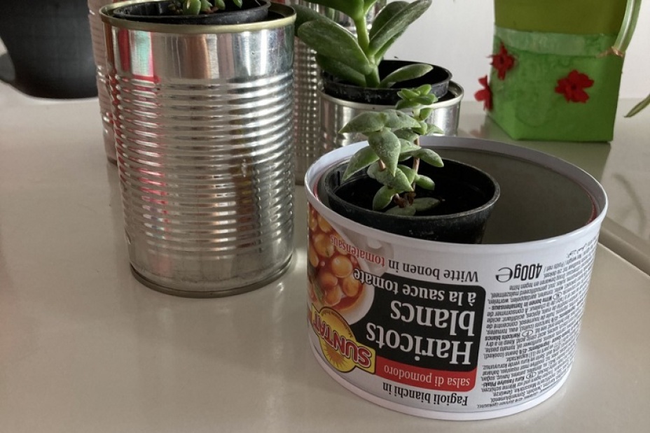 Bild © Berufliche Schule 5 9 Umweltschulenprojekt BIK 24/25, Bild © Berufliche Schule 5