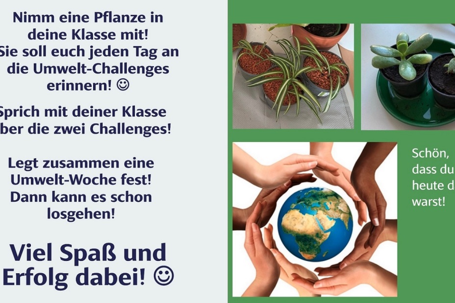 Bild © Berufliche Schule 5 4 Umweltschulenprojekt BIK 24 25, Bild © Berufliche Schule 5