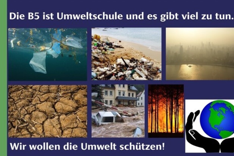 Bild © Berufliche Schule 5 1 Umweltschulenprojekt BIK 24/25, Bild © Berufliche Schule 5