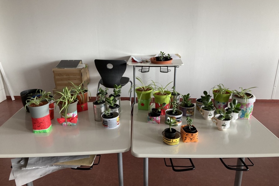 Bild © Berufliche Schule 5 8 Umweltschulenprojekt BIK 24/25, Bild © Berufliche Schule 5