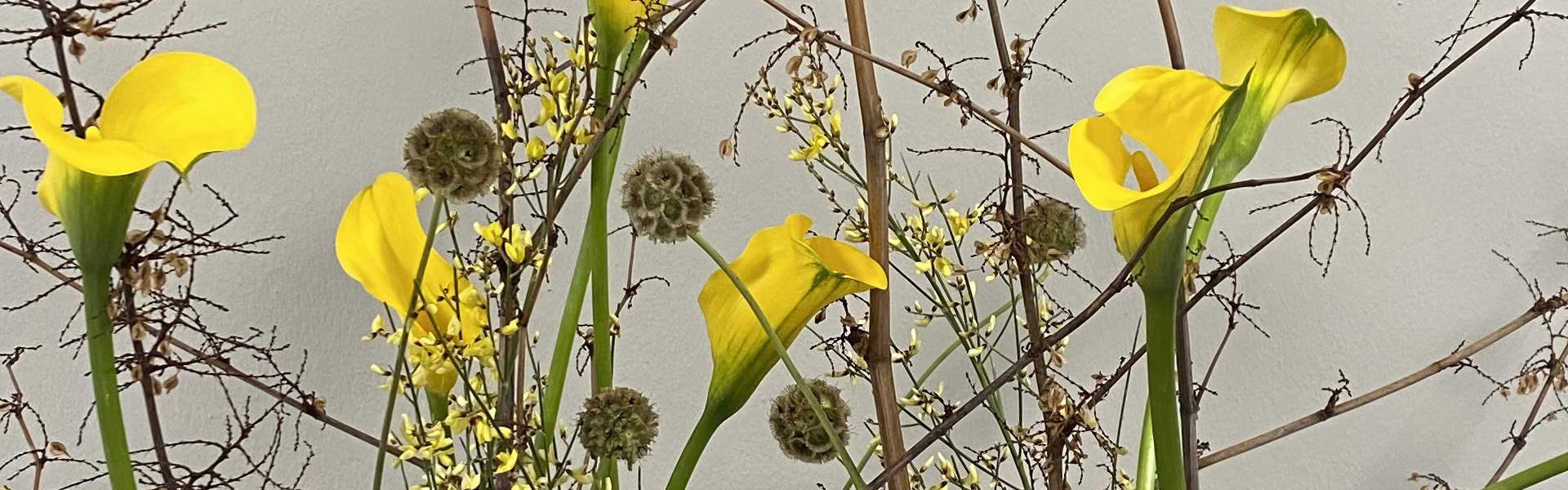 Blumen-Arrangement mit gelben Calla-Lilien