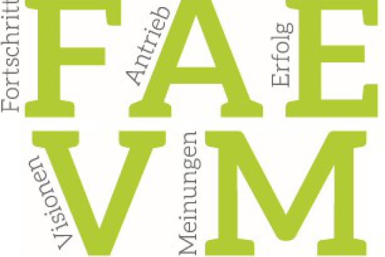 Logo FAEVM