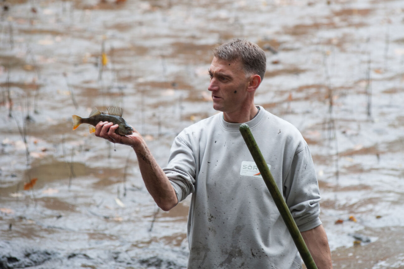 Weiheraufseher Klaus Kleinschroth mit einem Barsch, Bild © bild_copyright