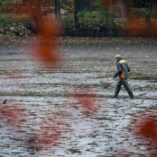 Rot gefärbte Herbstblätter im Vordergrund sorgen für ein idyl