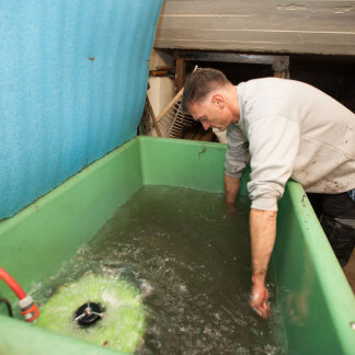 n einer umfunktionierten Streusandkiste werden die mitgebrachten