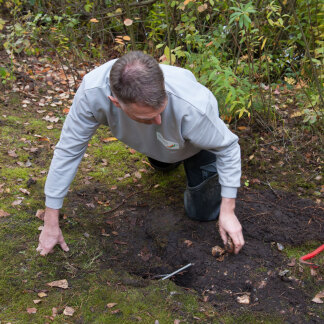 Teile des Ufers am Langwassersee sind unterhöhlt