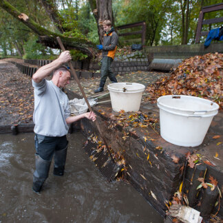 Im Wasser schwimmendes Laub verstopft schnell den Ablauf.