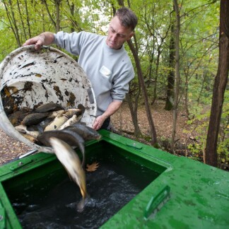 ... wo sie in einem mit Sauerstoff beatmeten Wassertank eine vo