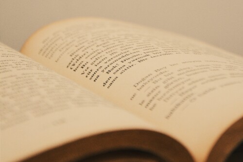 Aufgeschlagenes Buch © Gül Işık / Pexels