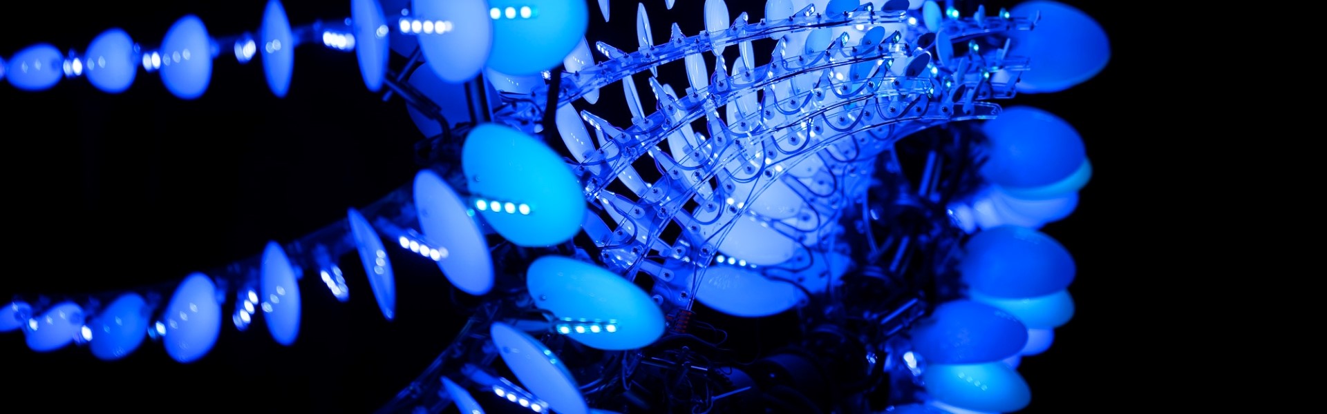 Titelbild Blaue Nacht 2026