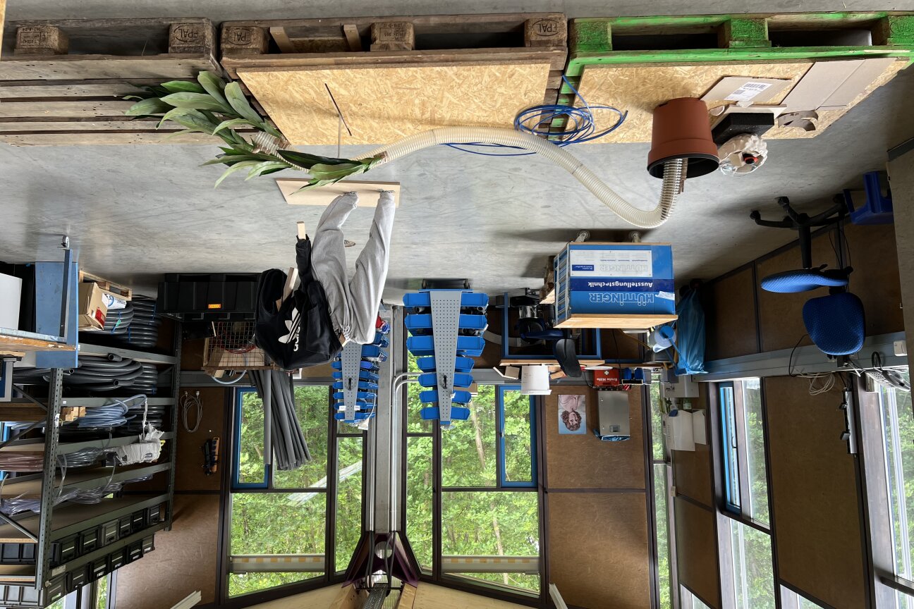 Yae In Kim producing her work at Hüttinger. A palm tree, its trunk replaced by a plastic tube, on a pallet laid on the ground. The workshop can be seen in the background.