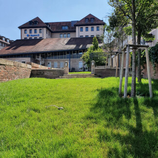 Garten Richtung Lorenzer Platz