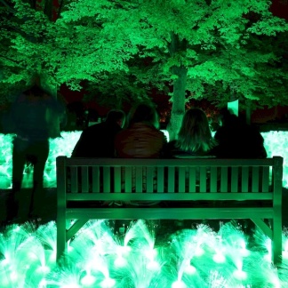 „Sommerplanetenkunstwiese" von Petra Krischke bei der Blauen Nacht 2014