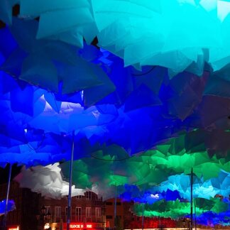 „Waldplastik!" von der TU München bei der Blauen Nacht 2014