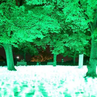 „Sommerplanetenkunstwiese" von Petra Krischke bei der Blauen Nacht 2014