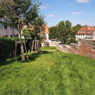Garten Richtung Oberer Bergauer Platz