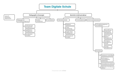 Darstellung der Organisationsstruktur im Team Digitale Schule