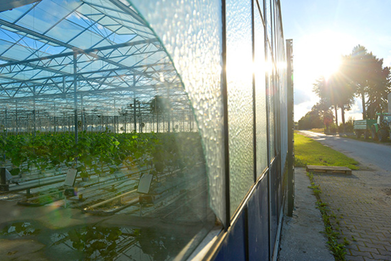Bild © ©Anestis Aslanidis Gewächshäuser, Bild © ©Anestis Aslanidis