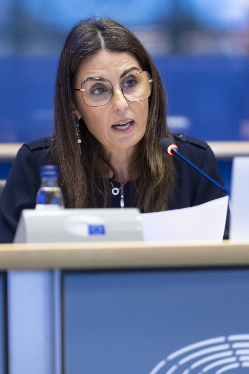 Auf dem Foto ist die neue EU-Bürgerbeauftragte Teresa Anjinho bei ihrer Anhörung im Europäischen Parlament zu sehen.