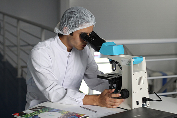 Wissenschaftler am Mikroskop