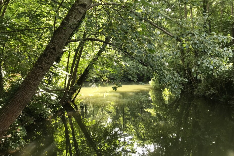 Blick auf die Pegnitz am U-Bahnhof Wöhrder Wiese