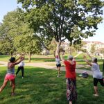 Mehrere Frauen machen Sportübungen im Park.