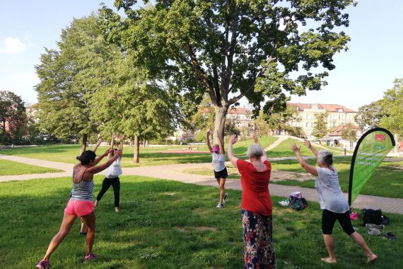 Mehrere Frauen machen Sportübungen im Park.