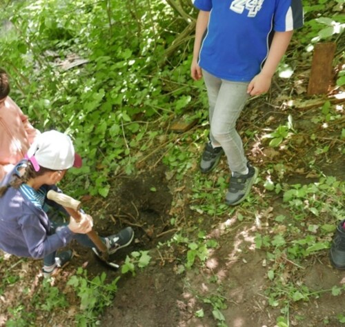 Wir pflanzen einen Baum.