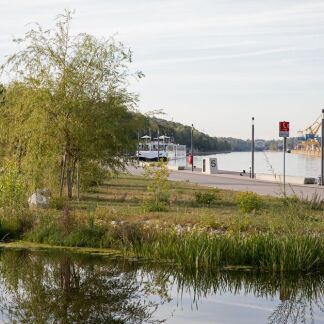 Teich am Personenschifffahrtshafen Nürnberg