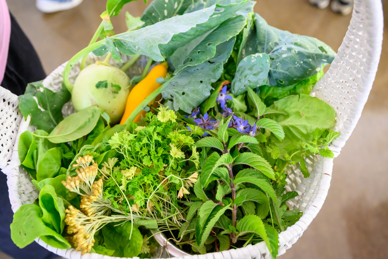 „Gute gesunde Schule“ mit Bayerns Kultusministerin Anna Stolz, Bayerns Landwirtschaftsministerin Michaela Kaniber, Nürnbergs Oberbürgermeister Marcus König, und Nürnbergs Schulreferentin Cornelia Trinkl, aufgenommen am 07.07.2025 am Johannes-Scharrer-Gymnasium in NürnbergFoto: Timm Schamberger / StMUK
