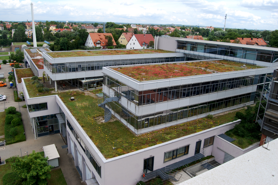Extensive Dachbegrünung in der Weststadt, Bild © ZinCo