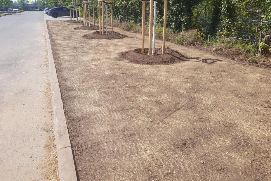 EDEKA Parkplatz Rollnerstraße nach der Entsiegelung, Bild © EDEKA Grundstücksgesellschaft Nordbayern-Sachsen-Thüringen mbH