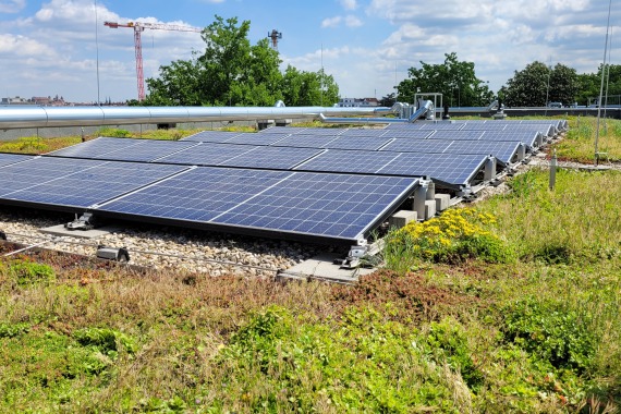 Solar-Gründach wbg Rotenburgerstr.