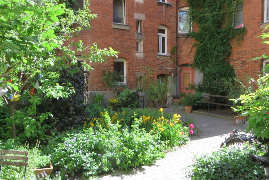 Oasen Fotowettbewerb, Bild © Stadt Nürnberg / Umweltamt