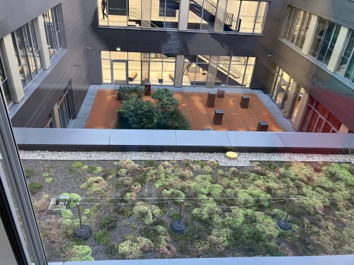 Gründach der Bertolt-BRecht-Schule zum Innenhof © Sonja Bauernschmitt - Ref.III / Stadt Nürnberg