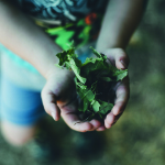 Kind hält Blätter in den Händen