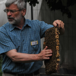 Herr Mages erklärt eine Bienenwabe