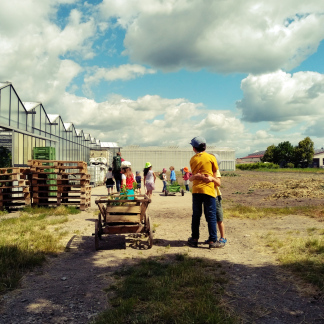 ( Bild: Barbara Koch / Stadt Nürnberg ) Grünzeug: Ausflug ins Knoblauchsland