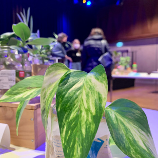 ( Bild: Andreas Kist / Stadt Nürnberg ) Pflanzentausch in der Kulturwerkstatt auf AEG