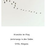 Minimalismus & Haiku