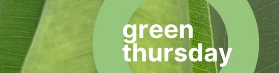 green thursday Header Newsletter