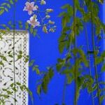 Ausstellung Blau, 3 Bilder, eins davon mit Sardinen, eins mit einer weißen Tür und blauem Hintergrund, eins mit einem blauen Brunnen