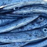 Ausstellung Blau, 3 Bilder, eins davon mit Sardinen, eins mit einer weißen Tür und blauem Hintergrund, eins mit einem blauen Brunnen