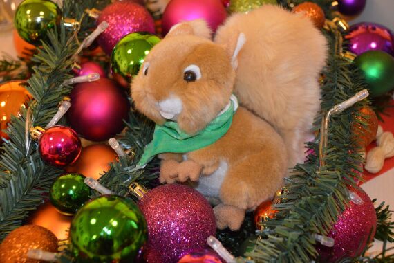 Maskottchen Rosi in weihnachtlicher Umgebung