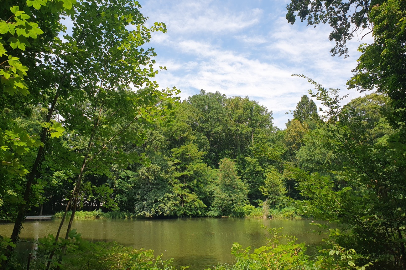 Ein See glänzt umgeben von grünen Bäumen unter blauem Himmel